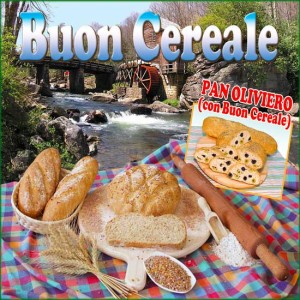 buon-cereale