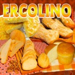 Ercolino